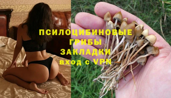 таблы Алексин