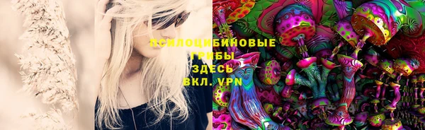 таблы Алексин