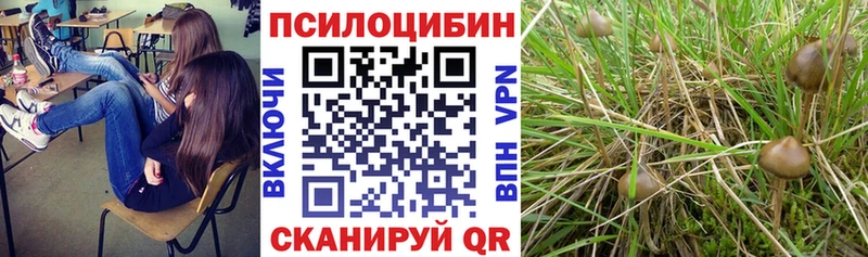 Галлюциногенные грибы мицелий  блэк спрут онион  Нытва 